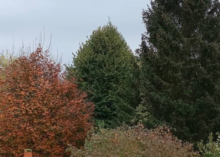 appartement 3 pièces en vente sur Fourqueux (78112)