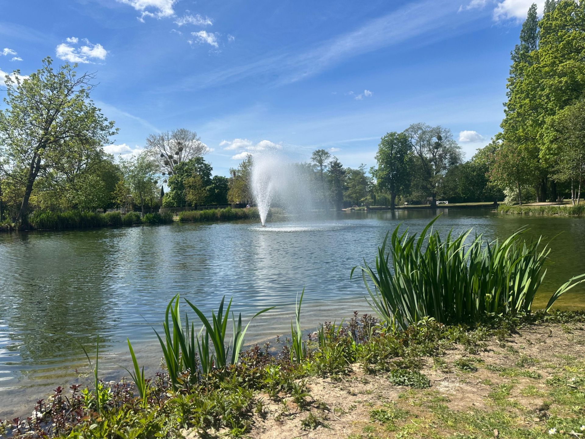 maison 4 pièces en vente sur Le Vésinet (78110)