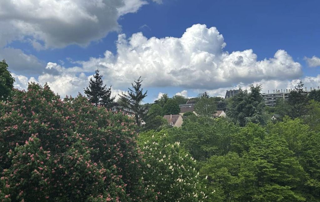 apartment 3 rooms for rent on Saint-Germain-en-Laye (78100) - See details